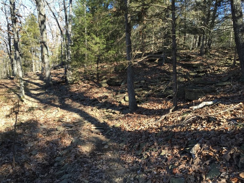 A rocky wash crossing on the Lakeview Trail.