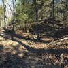 A rocky wash crossing on the Lakeview Trail.