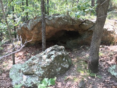 Hmm...what lives in there?