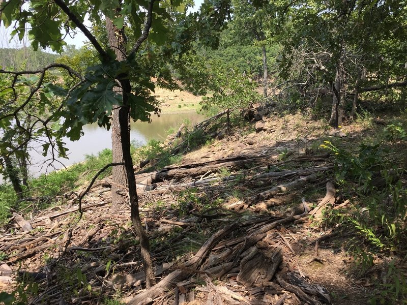 More limbs. Please remember that the state only funds 5 or so people to take care of Toronto and Fall River.  Next time I go out, I'm going to walk some trail with a Mcleod and help clean up.