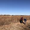 Some of the hike is in the middle of a prairie grass field, a mix of big and little bluestem grasses.