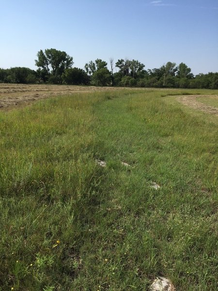 More of the grassy Nature Trail