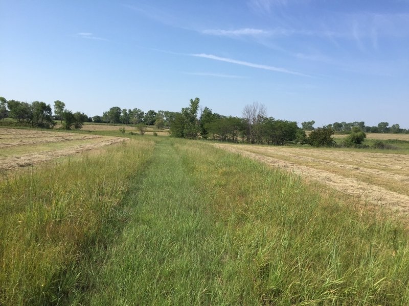 More of the Shady Creek Nature Trail.