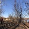 Walking by the trees, one place to find shade in the park.