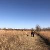 More of the big and little bluestem grassland.