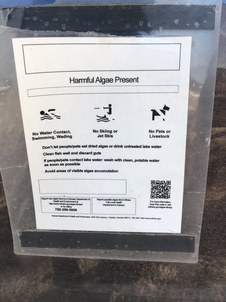 Of all the affected lakes in KS, this is usually one of the first every summer to have dangerous algae blooms, do not get in the water or let your dog in.