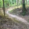 The trail drops down into an area that probably carries water, not sure.