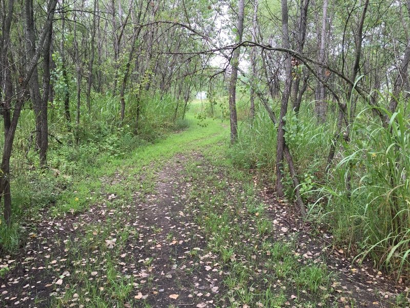 Nothing technical on this trail, but a great place to do several laps and get away from pavement.