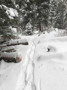 White Pine/Pioneer Junction