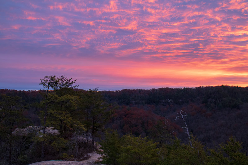 Sunrise 11/29/2019