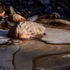 Some interesting patterns in a frozen puddle being warmed by some early morning light