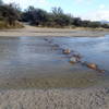 The rocks make it appear as if you can safely cross on them. Don't be fooled, your feet are gonna get wet!