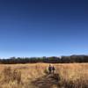 Natural prairie grass are of big and little bluestem