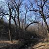 Crossing the Spring Creek