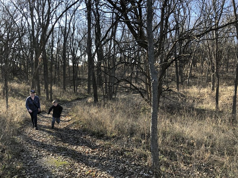 Running up the trail