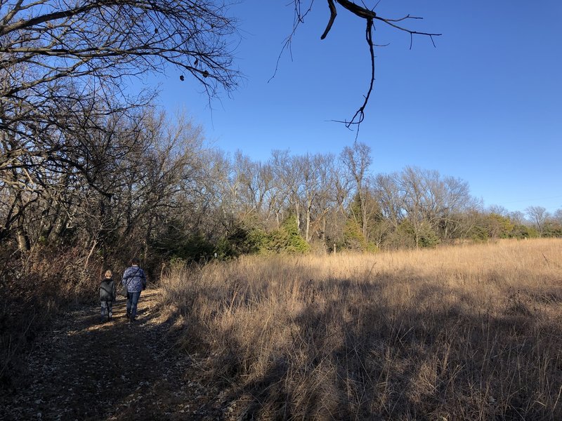 The meadow has a trail all around it's perimeter.