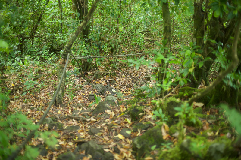 Ropes are strung along some of the steeper sections of the trail to assist with ascending and descending the mountainside.