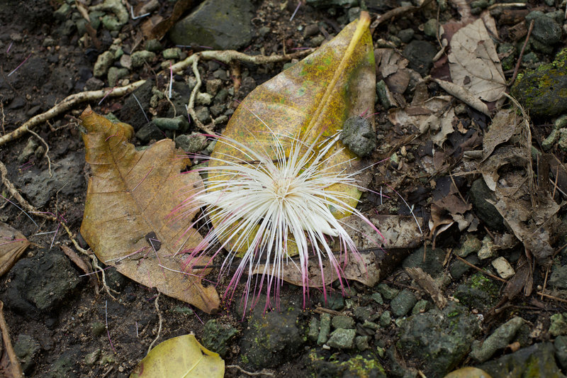 There is beauty and color all around, even on the ground.