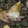 There is beauty and color all around, even on the ground.