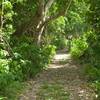 The Pola Island trail follows an old road. You can drive out part of this road if you want, but a high clearance vehicle would be recommended.