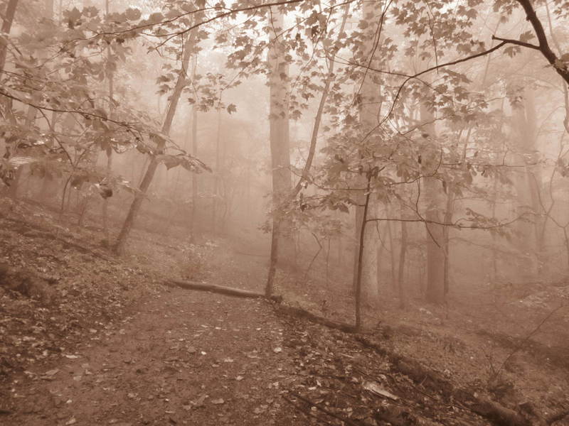 20110919 17 Sharp Top Trail, Peaks of Otter, Virginia