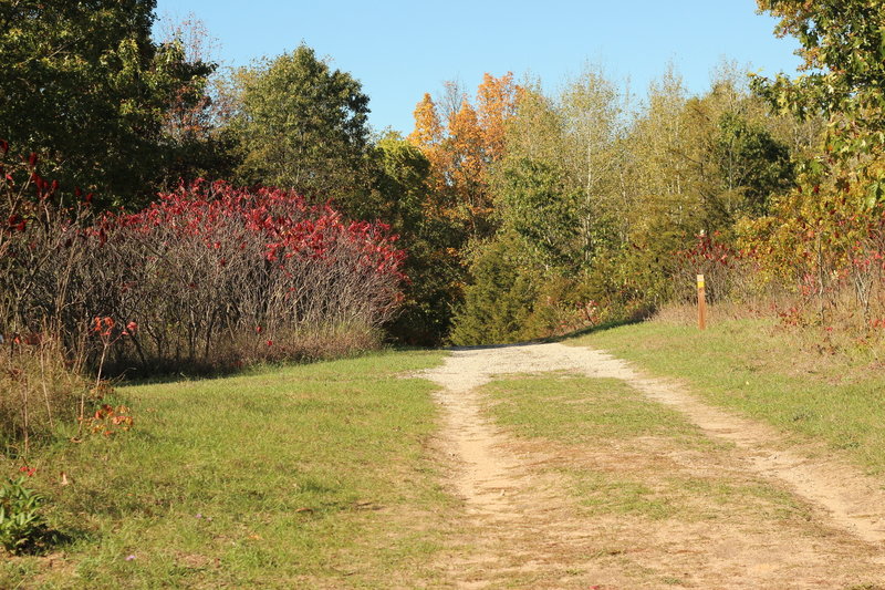 Bolt entrance doubletrack." Photo courtesy of Cascade Charter Township.