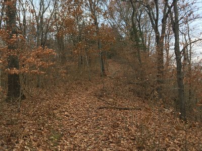 The steepest part of the trail, leading to the technical summit of this hill.