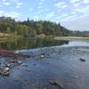 American River view.