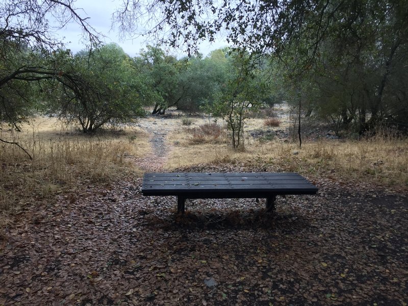 Bench along Riverview Trail