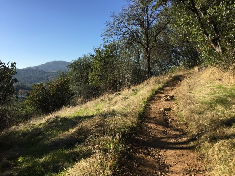 Monroe Ridge Trail