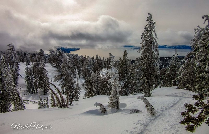 Chickadee Ridge, Lake Tahoe, NV. Jan2019