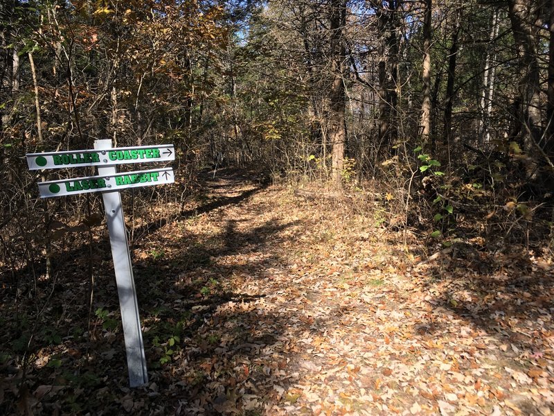 Watch for this fork in the trail!  Choosing roller coaster will lead to a very confusing point.  I recommend gps on this trail to actually complete it with confidence.