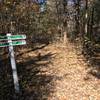 Watch for this fork in the trail!  Choosing roller coaster will lead to a very confusing point.  I recommend gps on this trail to actually complete it with confidence.