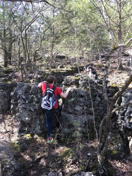 A short scramble off trail at this point will take you to a nice lookout point!  Look for this small rock wall, if you'd like to find it!