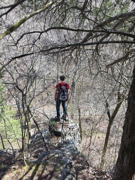 This is a nice, exposed lookout point that is only a short jog off trail!