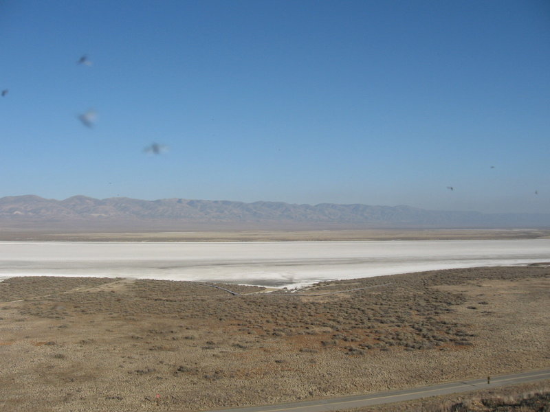 Views (and a few bugs) from the Soda Lake Overlook