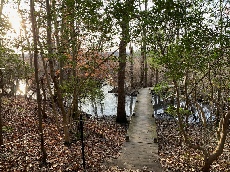 Start of the boardwalk looking west