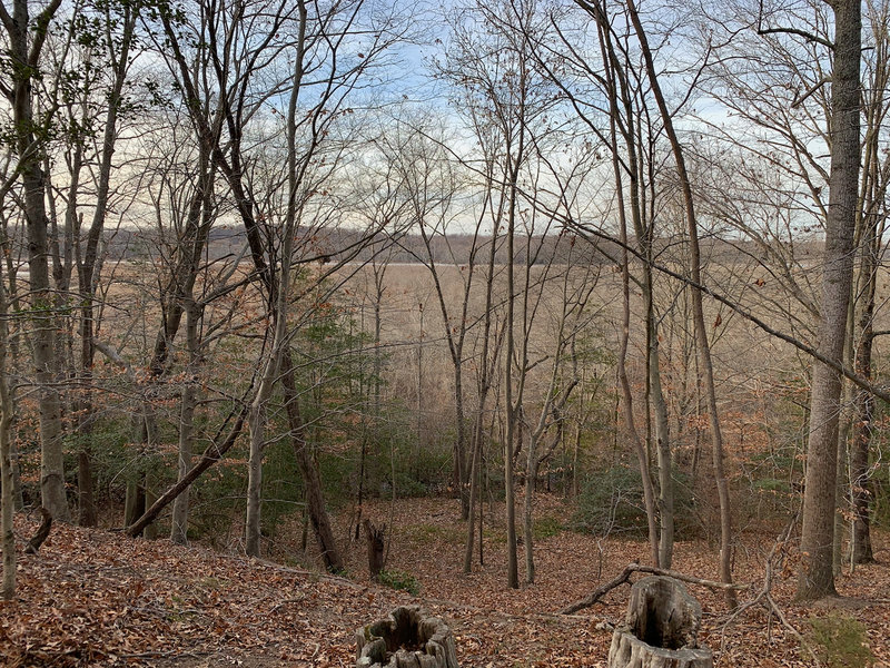 View of the Pautuxent River from the cliffs