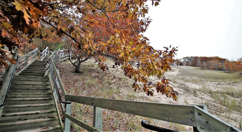 Stretching staircase at North Ottawa Dunes" by Mike Lozon. Photo courtesy of Ottawa County Parks & Recreation.