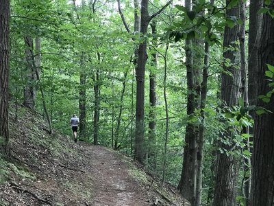Ridge trail section with full foliage" Photo courtesy of Ottawa County Parks & Recreation.