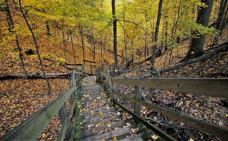 Steep staircase in the fall" by Mike Lozon. Photo courtesy of Ottawa County Parks & Recreation.