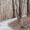 There are plenty of paved sections along this trail.