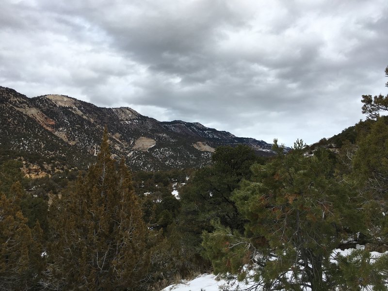 View up 6 Mile Canyon.