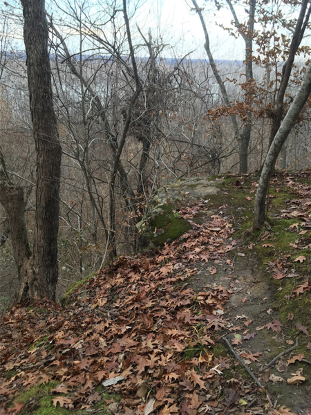 A view of the bluff from my previous picture.