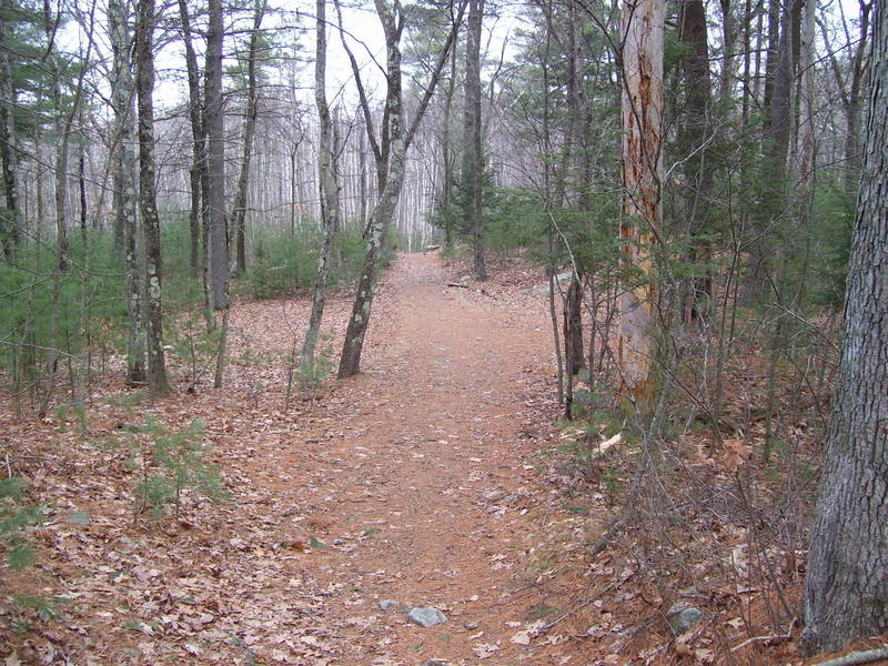 Undercliff Path near Needham's Crossing" courtesy of the Lynn Woods Ranger.