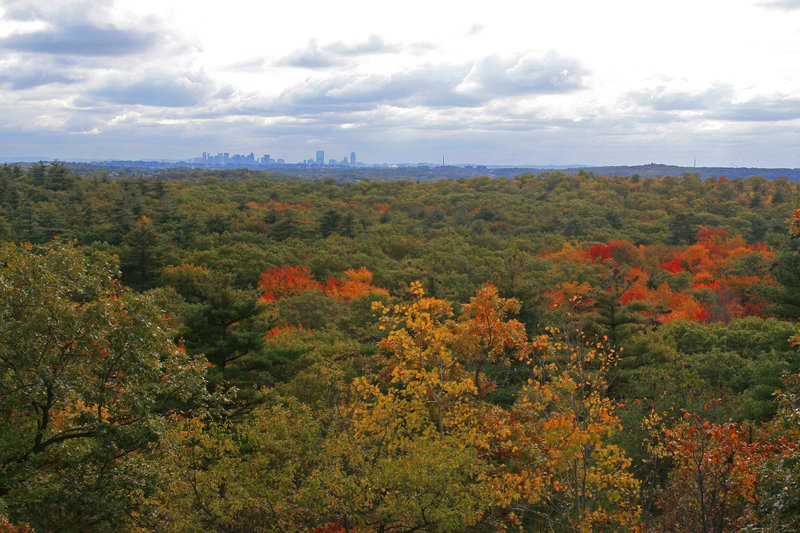 View from Stone Tower" courtesy of the Lynn Woods Ranger.