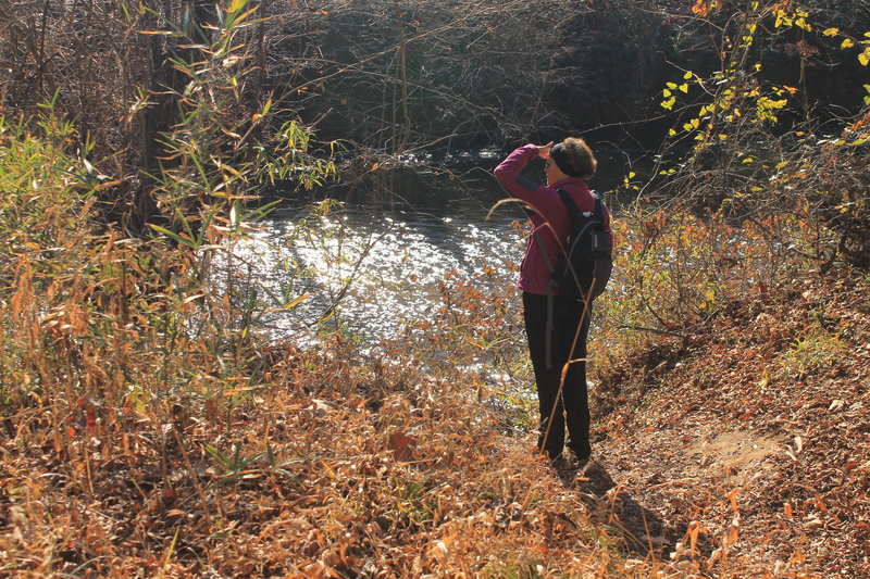 The trail ends at the banks of the Green River