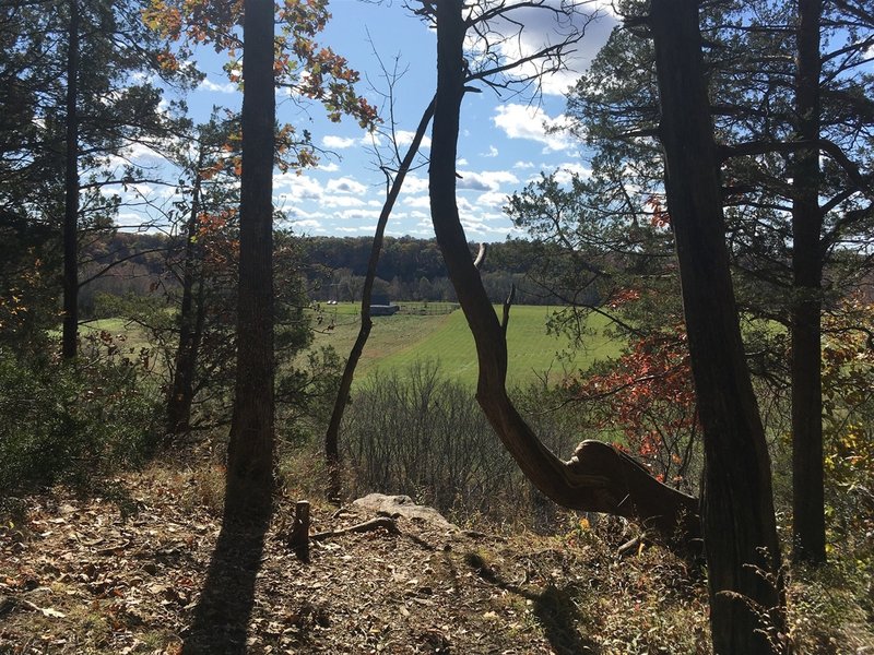 Another nice lookout with hammock-worthy trees!