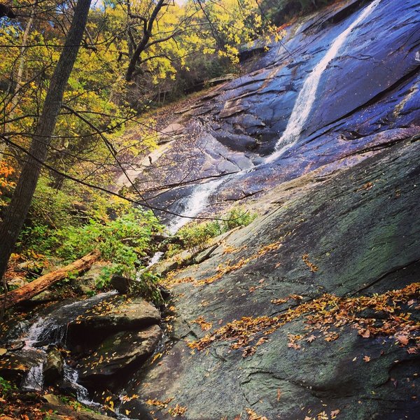 You'll reach Little Bearwallow Falls about 1.1 miles up the trail