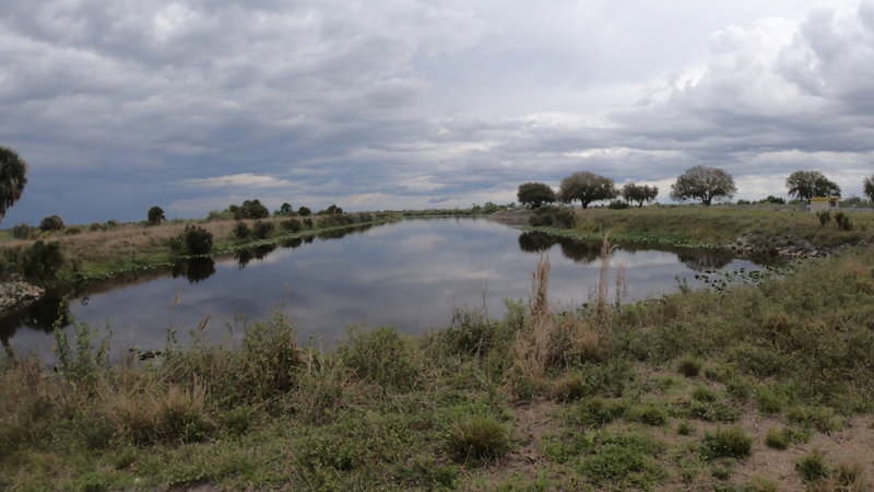 Some of the many wetlands along the Kissimmee River